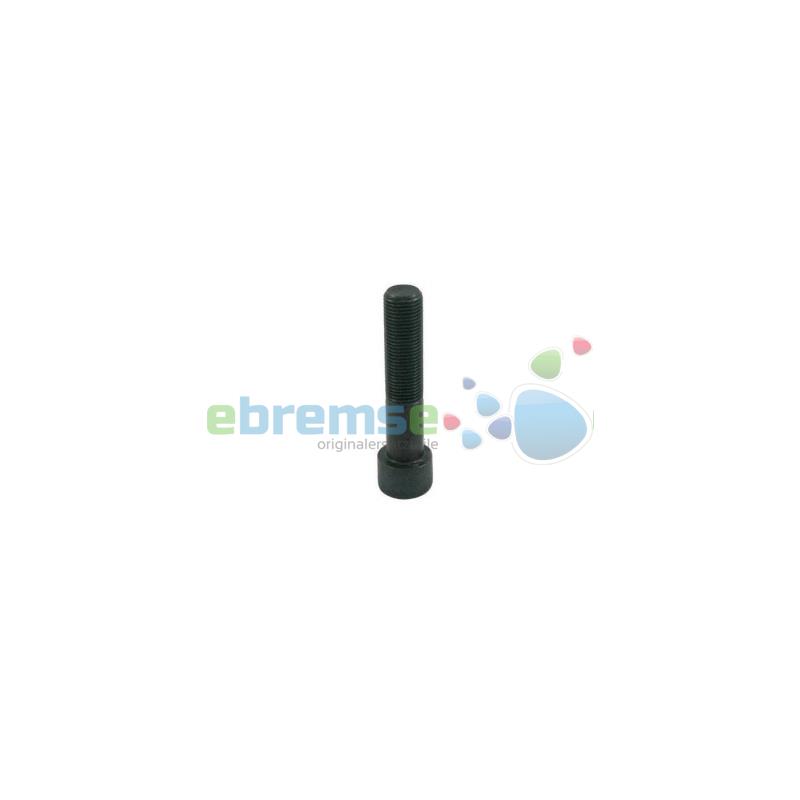 727350 Caliper Pin Bolt - M16 x 1.5 / 75 mm